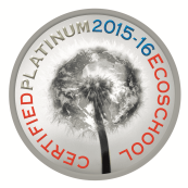 Platinum EcoSchool Seal